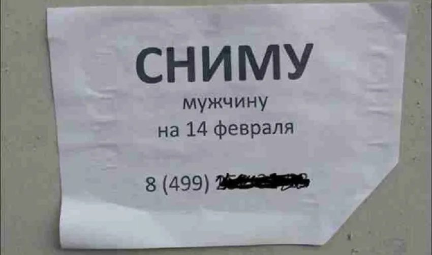 Бумажная объявление «СНИМУ мужчину на 14 февраля» с номером