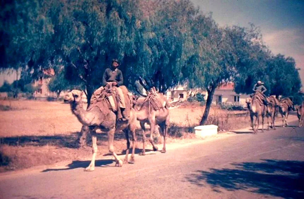 Проспект Макариу в Лимассоле, 1950-е годы.