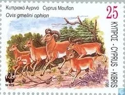 Почтовая марка с изображением кипрского муфлона и подписью Cyprus Mouflon