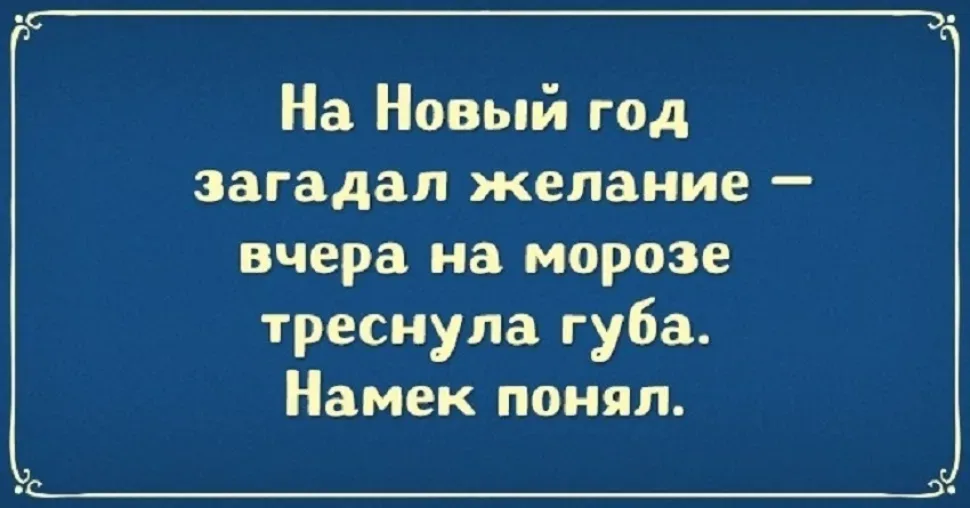 Новогодний юмор: шутки и смешные моменты — выпуск 14: фото 62