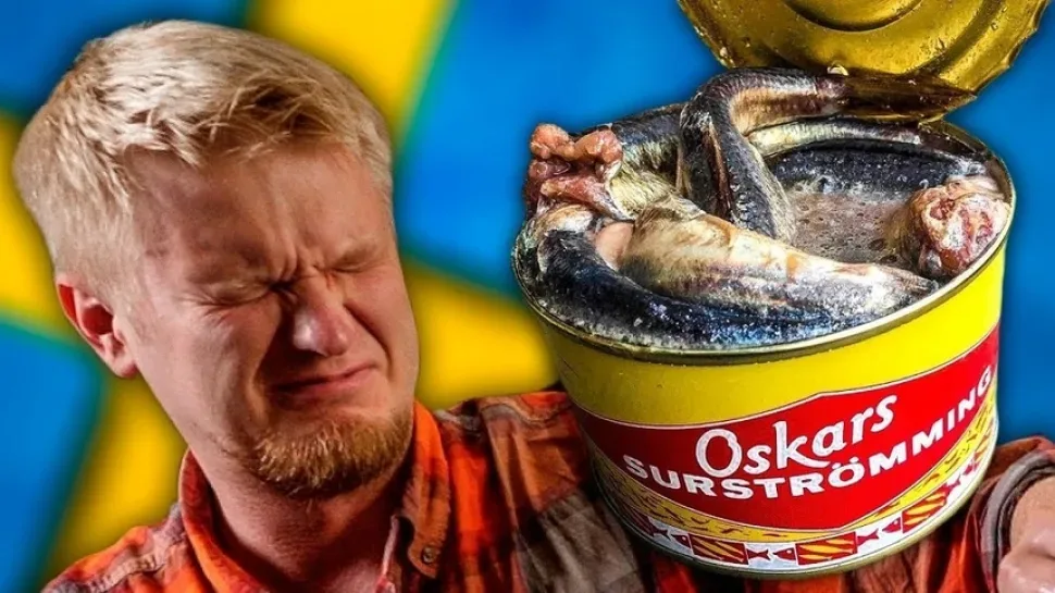 Крупные белые личинки пчёл, уложенные в сотовую структуру
