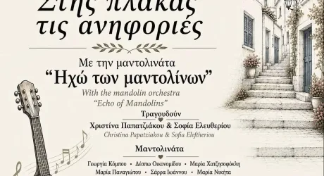 Эхо мандолин