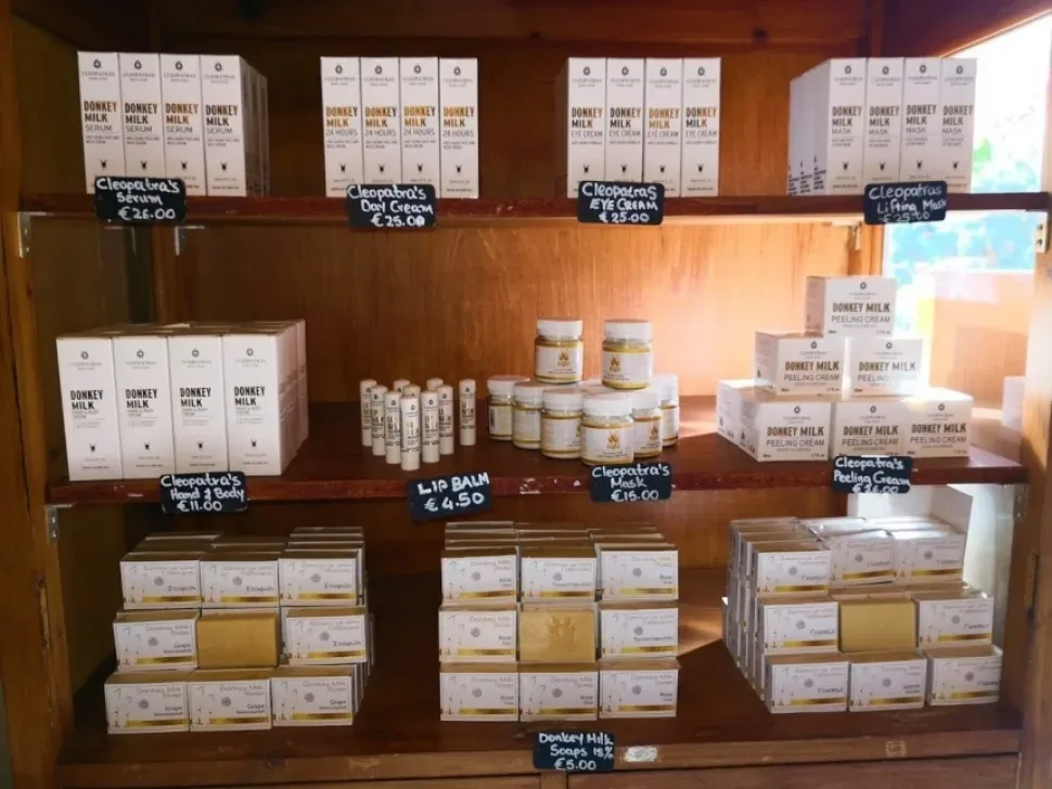Стеллаж с бутылками вина для продажи в магазине Golden Donkeys Farm Стеллаж с бутылками вина для продажи в магазине Golden Donkeys Farm