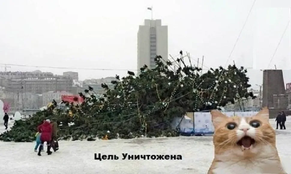 Как подружить кота и рождественскую елку — минутка смеха: фото 51