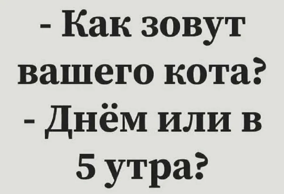 Панель администрирования: фото 10