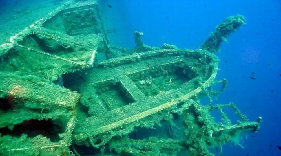 Носовая часть парома MS Zenobia, покрытая кораллами и водорослями