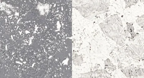 AGGREGATE