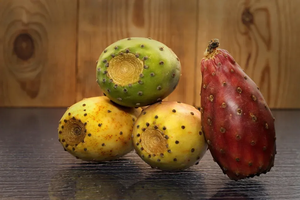 Prickly Pear, Fruit, Cactus, Nature, Vegetables, Food