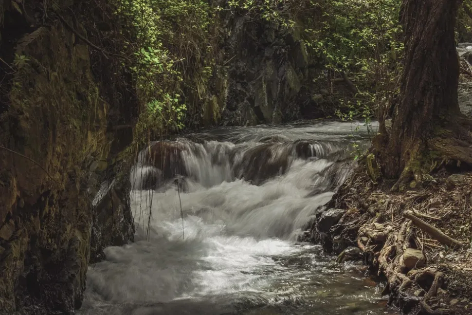 Stream, Creek, Scenic, Nature, Woods, Scenery, Rocks