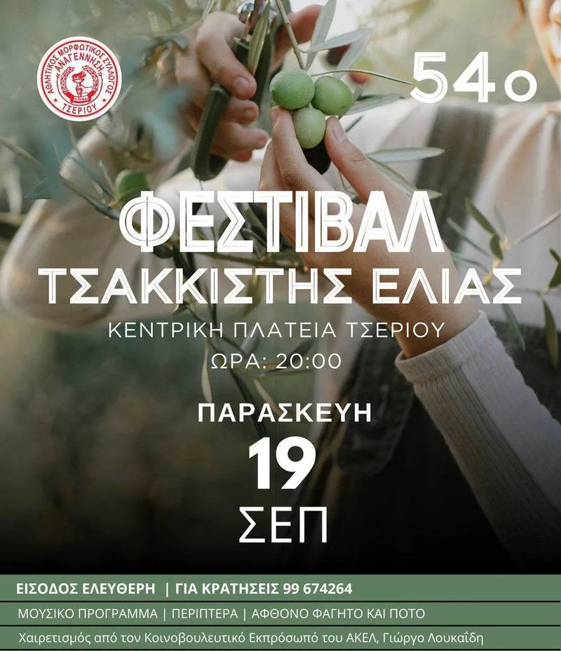 Фестиваль битых оливок