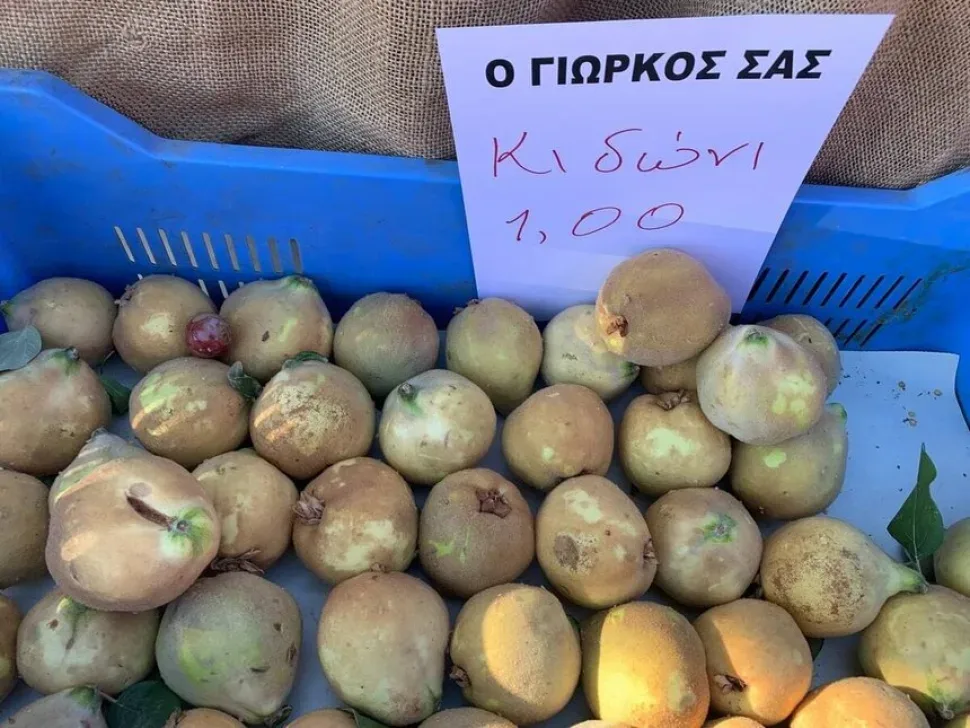 Ящики с плодами айвы на рынке и ценник на греческом языке