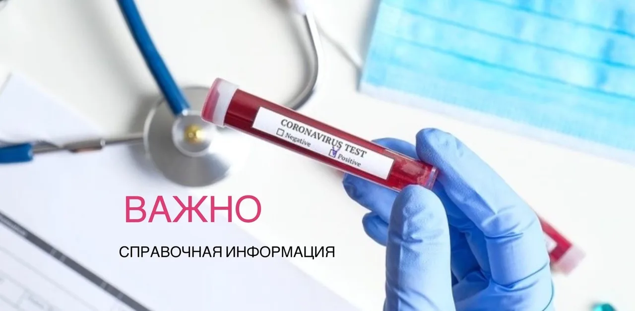Больницы, отели, аптеки, частные лаборатории, телефоны справочных