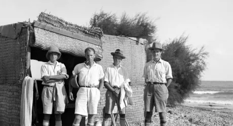 Шведско-кипрская археологическая экспедиция 1927–1931 годов