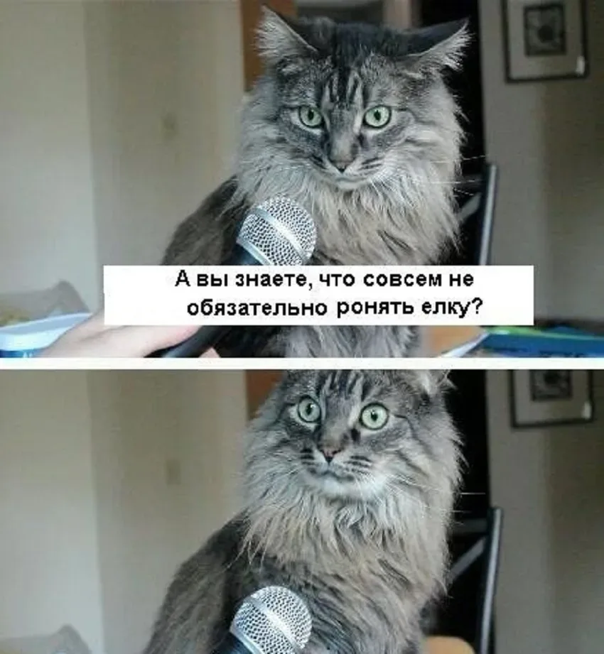 Двухкадровый кот и микрофон с надписью про не ронять ёлку