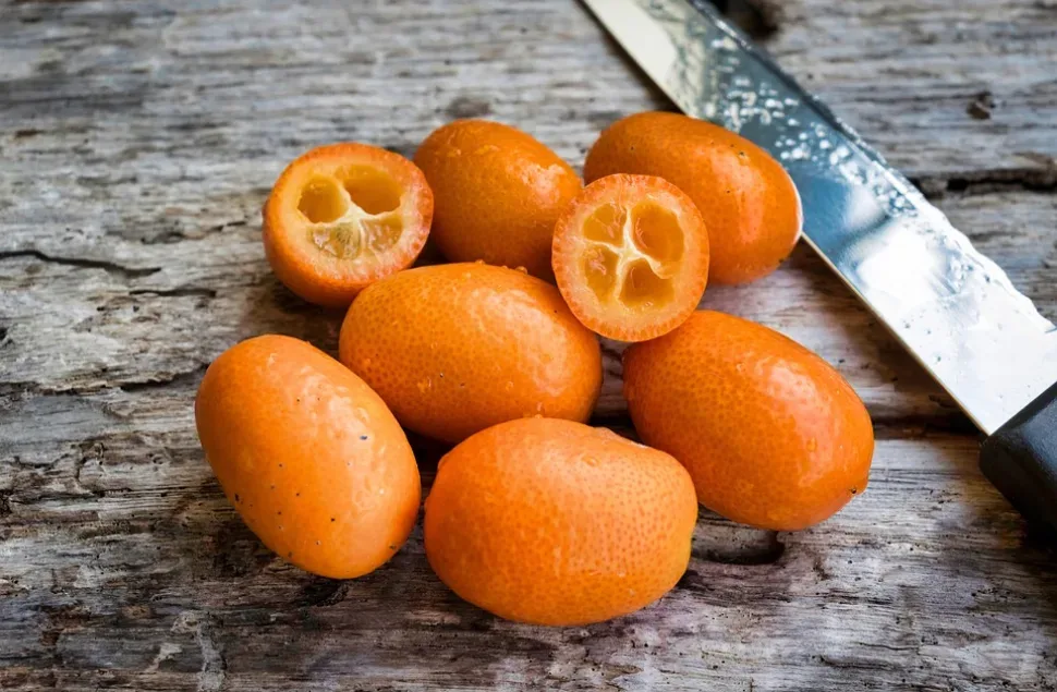 Kumquats, Citrus Fruits, Tangerine, Chinese, Foods Kumquats, Citrus Fruits, Tangerine, Chinese, Foods