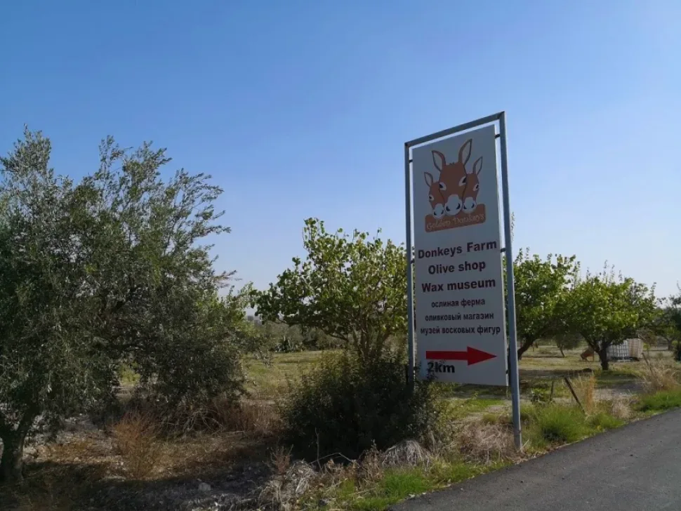 Выход на поле с ослами на территории фермы Golden Donkeys Farm Выход на поле с ослами на территории фермы Golden Donkeys Farm