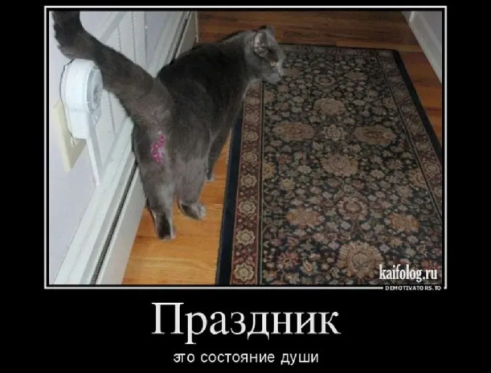 Новогодний юмор: шутки и смешные моменты — выпуск 14: фото 55