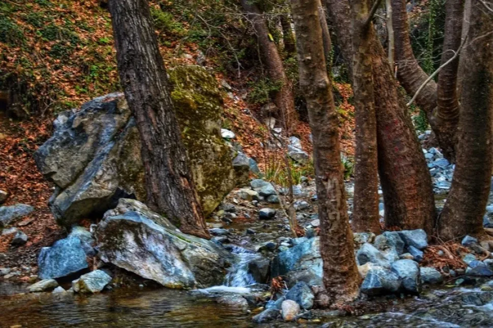 Струи воды, бьющие по скале, и мокрые камни у падения воды