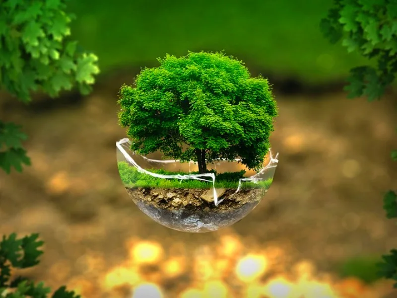Заповедный Кипр, опутанный сетью Natura 2000