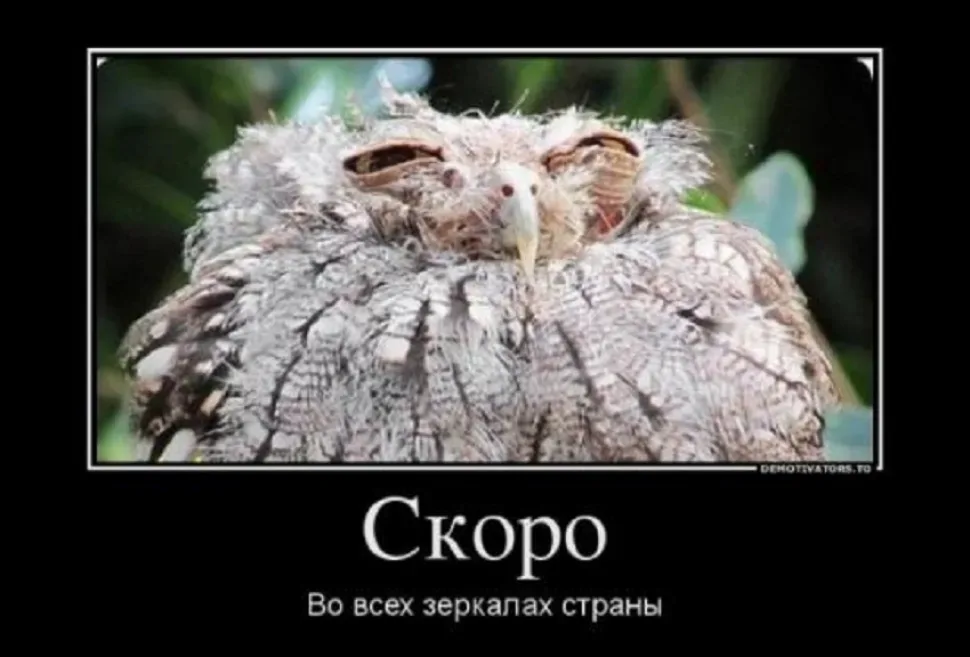 Новогодний юмор: шутки и смешные моменты — выпуск 14: фото 59
