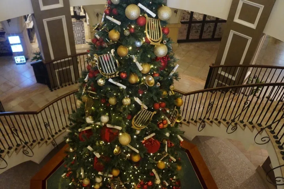 Сады и террасы отеля с зелеными насаждениями и каменными ступенями