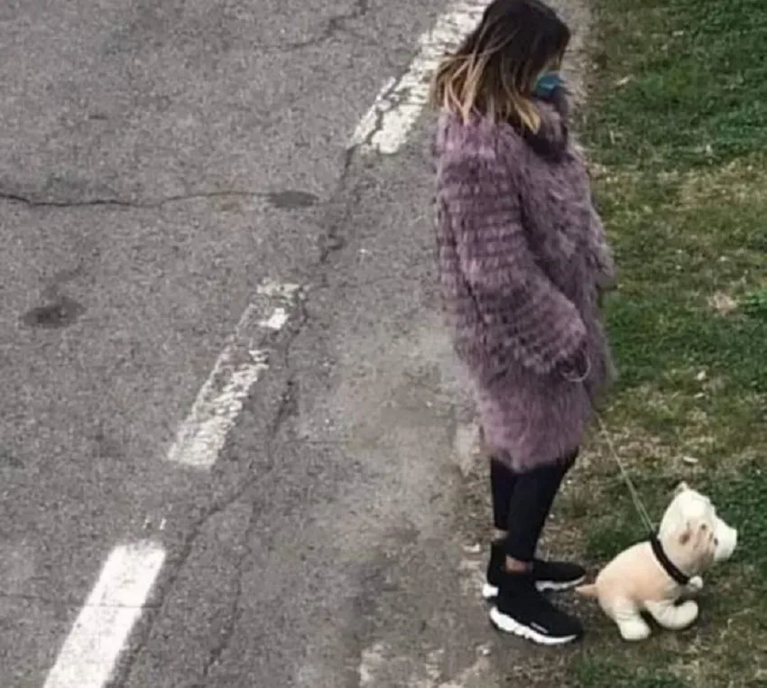 Женщина стоит на дороге со сборной мягкой собакой на поводке