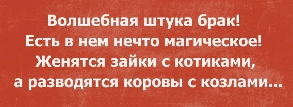 Красная картина с цитатой «Волшебная штука брак» белыми буквами
