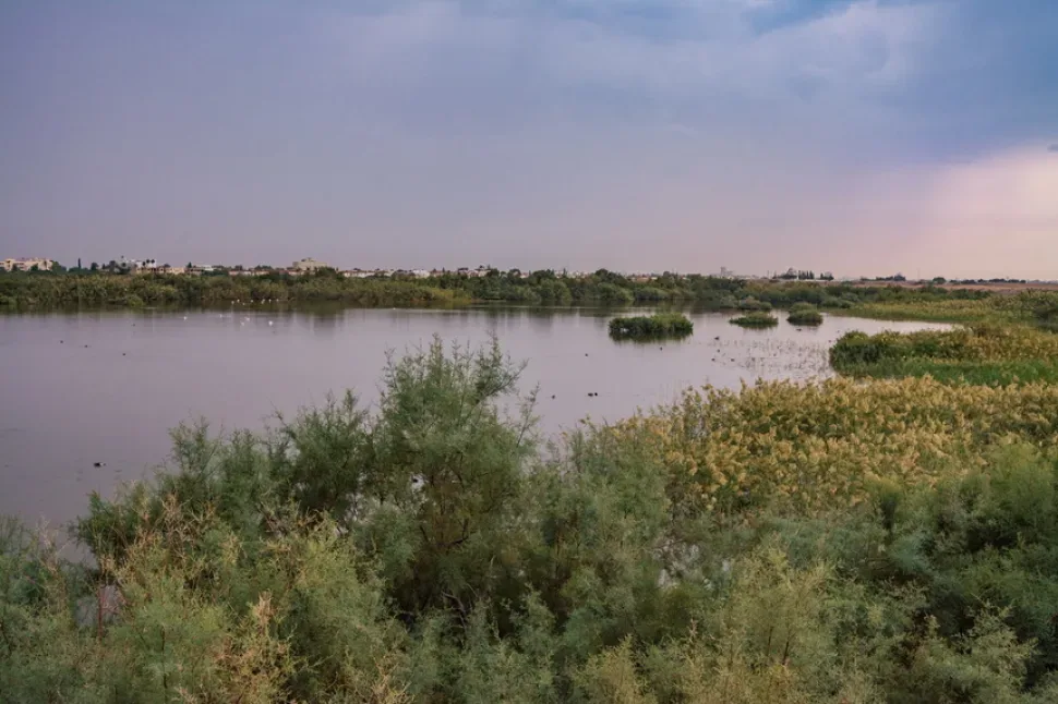 Панорамный вид на водно-болотное угодье озера Ороклини Панорамный вид на водно-болотное угодье озера Ороклини