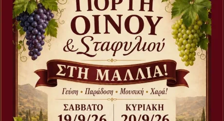 Праздник вина и винограда в деревне Маллья