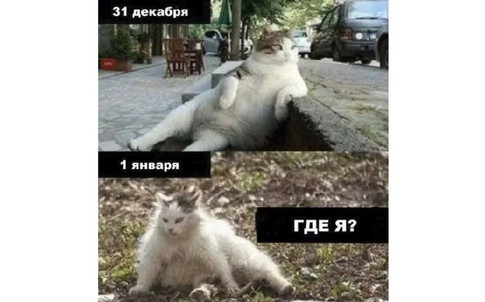 Новогодний юмор: шутки и смешные моменты — выпуск 14: фото 58