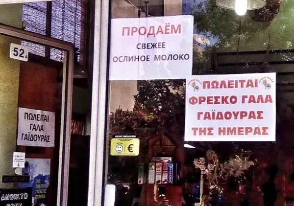 Отвечаем за осла!