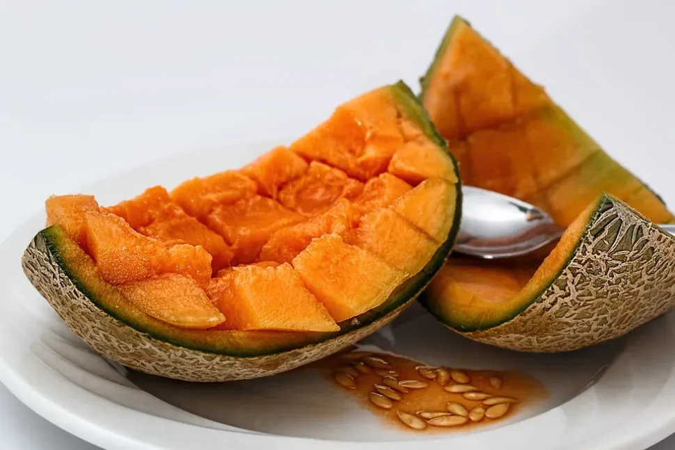 Cantaloupe, Sweet Melon, Melon, Muskmelon, Rock Melon