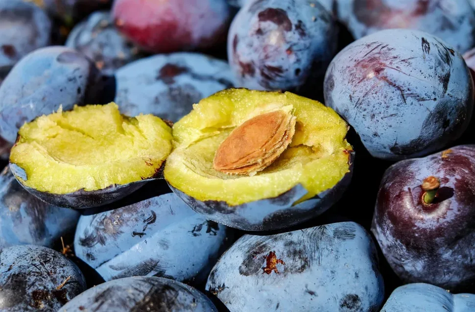 Plum, Fruit, Cut In Half, Stone Fruit, Plum Stone