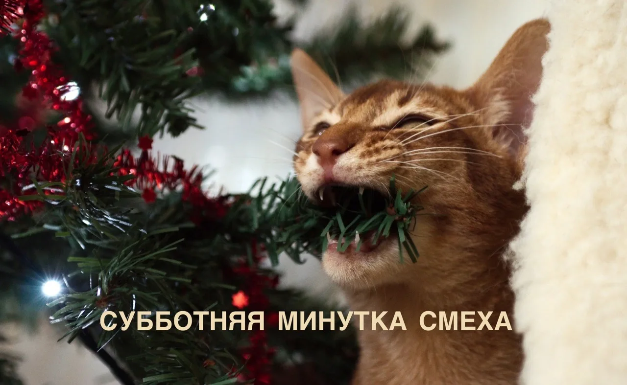 Кипр - субботняя минутка смеха. Выпуск 16