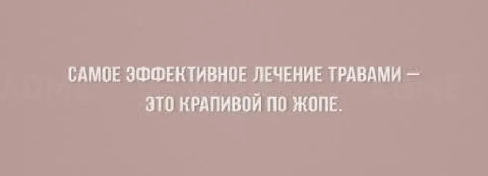 Иллюстрация пикантной ведьмы на метле с подписью про «тёти с метлами