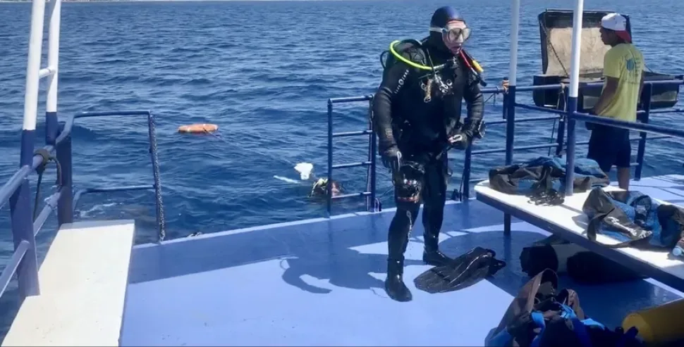 Дайвер плывёт в гидрокостюме над морским дном