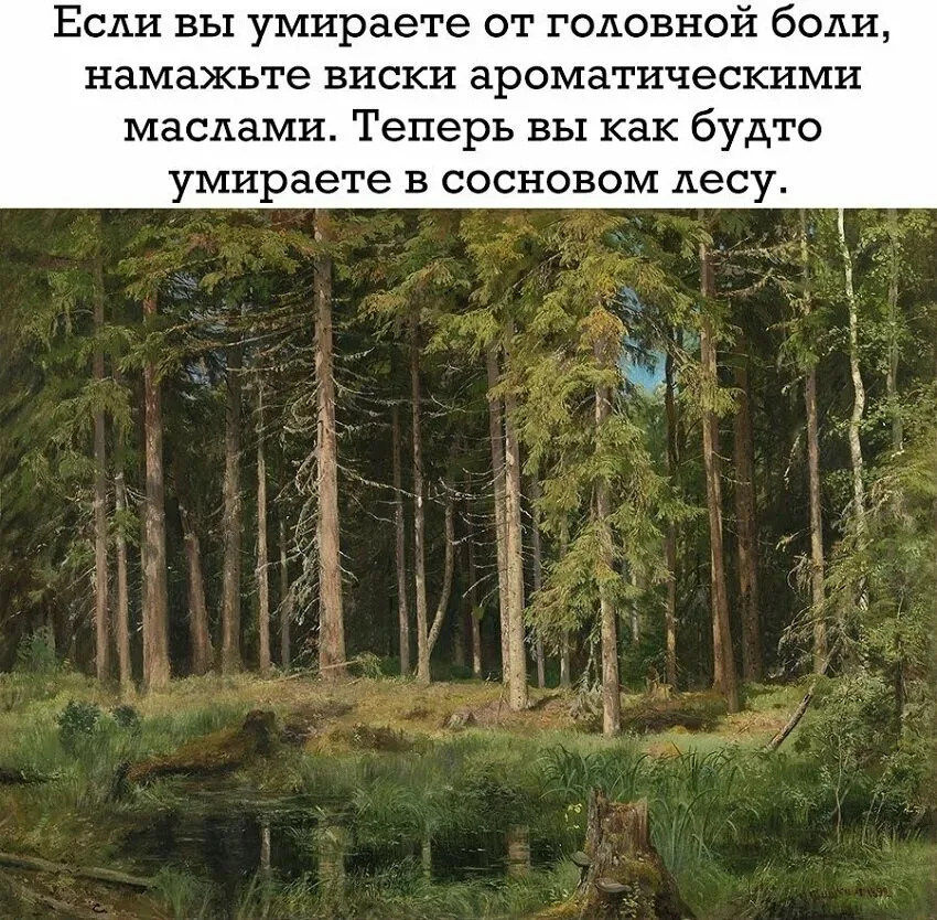 Текстовый совет про втирать виски маслами и лес на фоне Текстовый совет про втирать виски маслами и лес на фоне