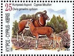 Двусторонний рисунок муфлонов на 5 евроцентовой монете Кипра
