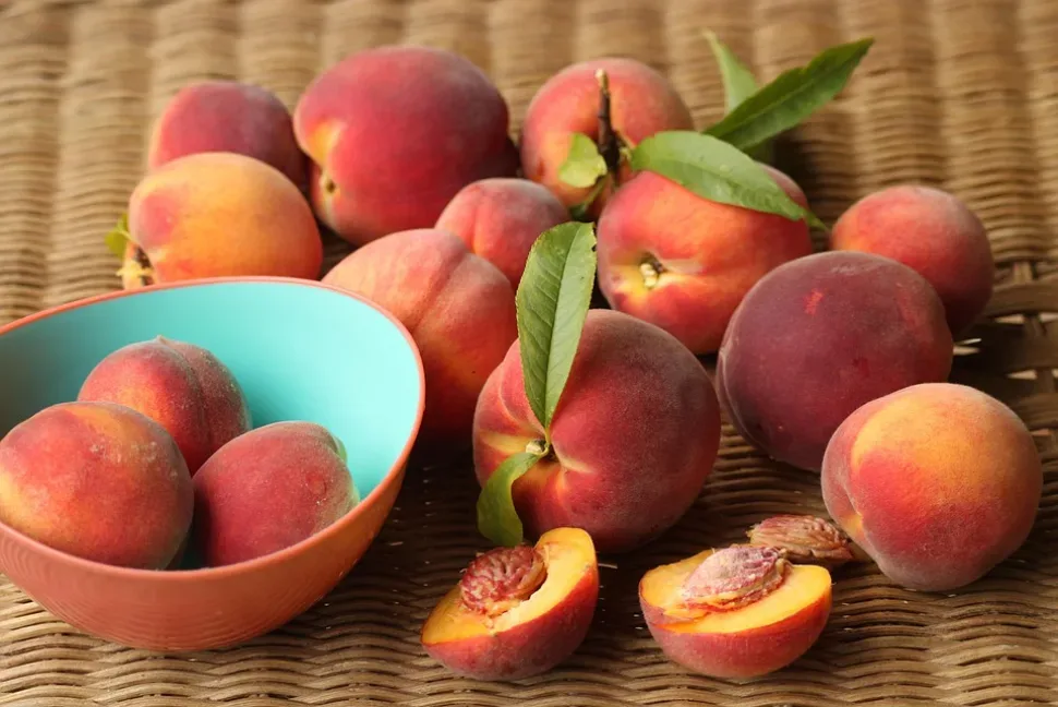 Peaches, Fruit, Vitamins, Fresh, Eat, Sweet, Summer