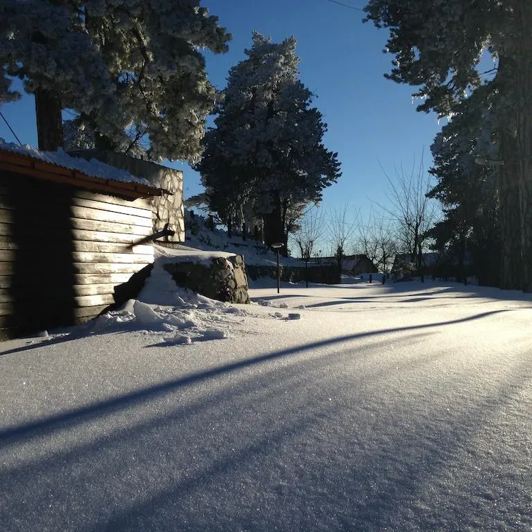Gallery image of this property