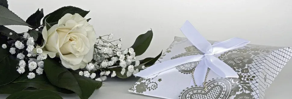 Roses, Rose Flower, Flowers, White, Flower Roses, Rose Flower, Flowers, White, Flower