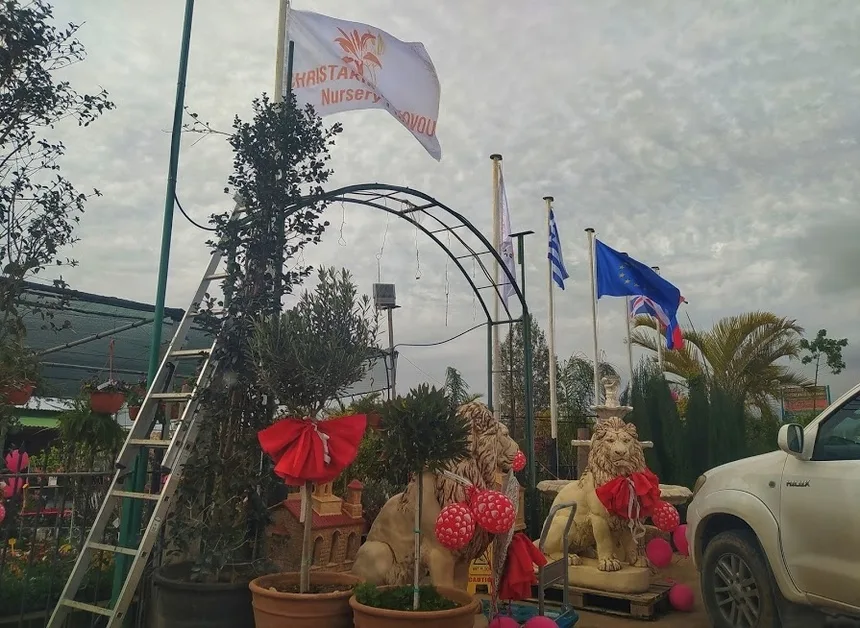 Открытая площадка с растениями, ленточками и декоративными львами