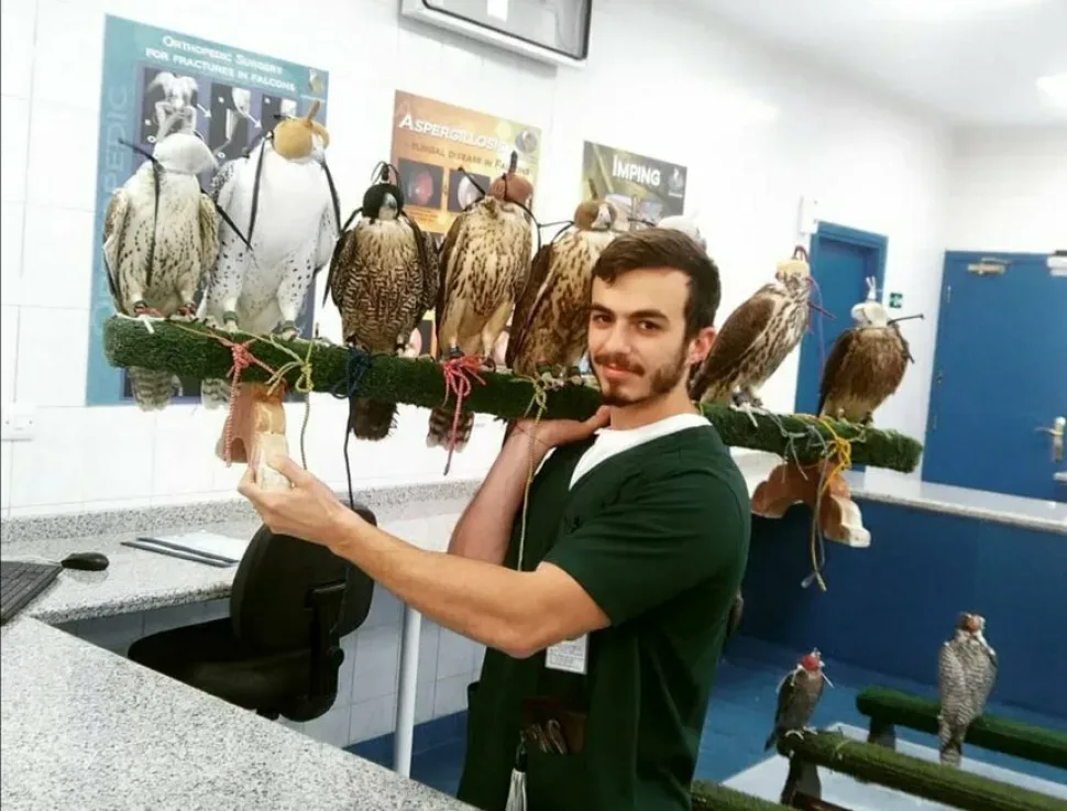 Доктор держит палку с птицами на плече.