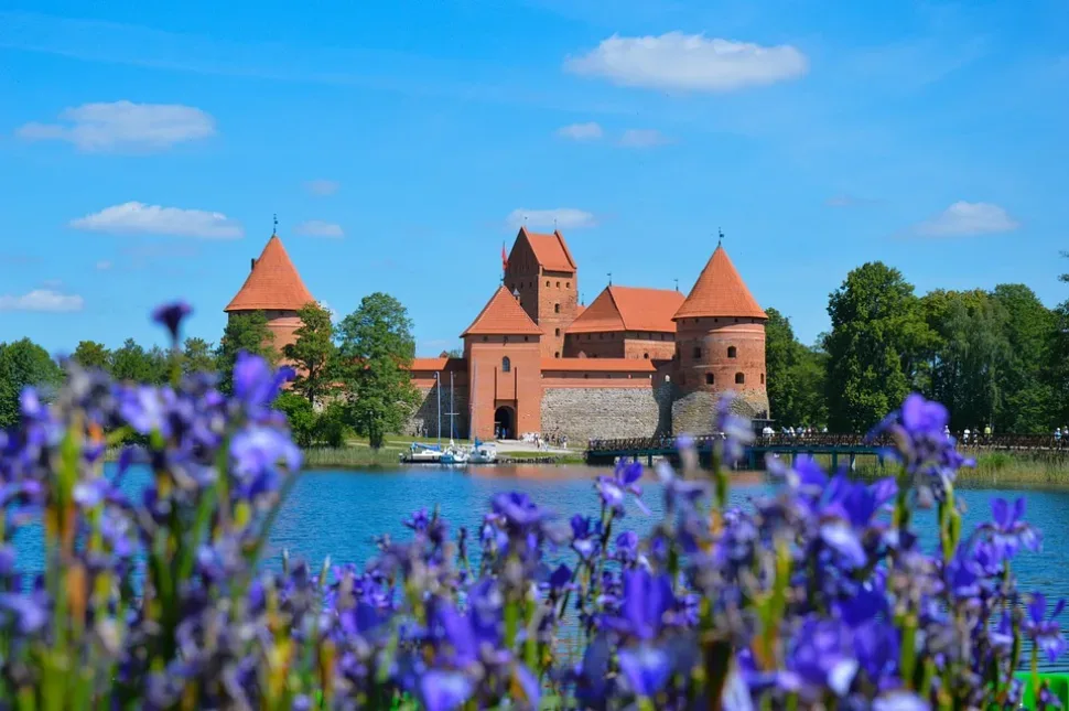 Castle, Flowers, Water, Lake, Trakai, Lithuania