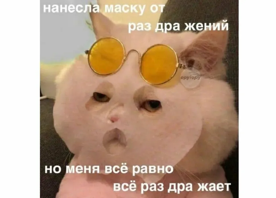 Кот в тканевой маске и очках с подписью про маску и жизнь Кот в тканевой маске и очках с подписью про маску и жизнь