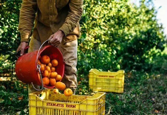 Коллаж: пожилой мужчина с бутылкой KEAN и ретро‑рекламный плакат бренда