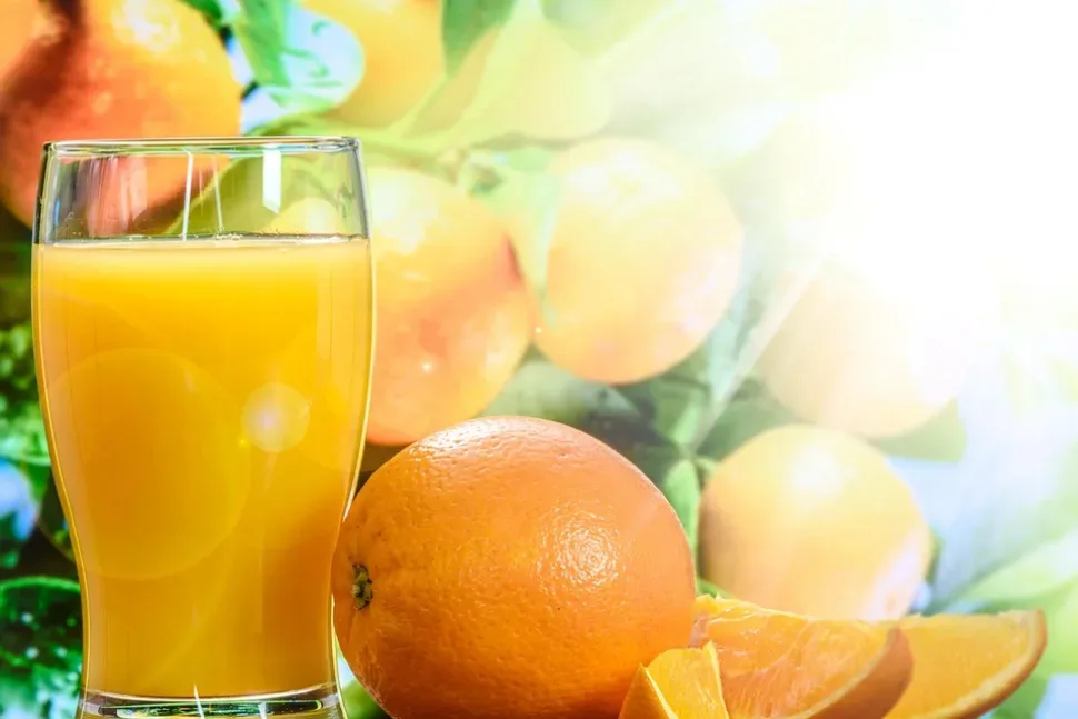 Orange Juice, Cup, Tree, The Background, Green, Fresh Orange Juice, Cup, Tree, The Background, Green, Fresh