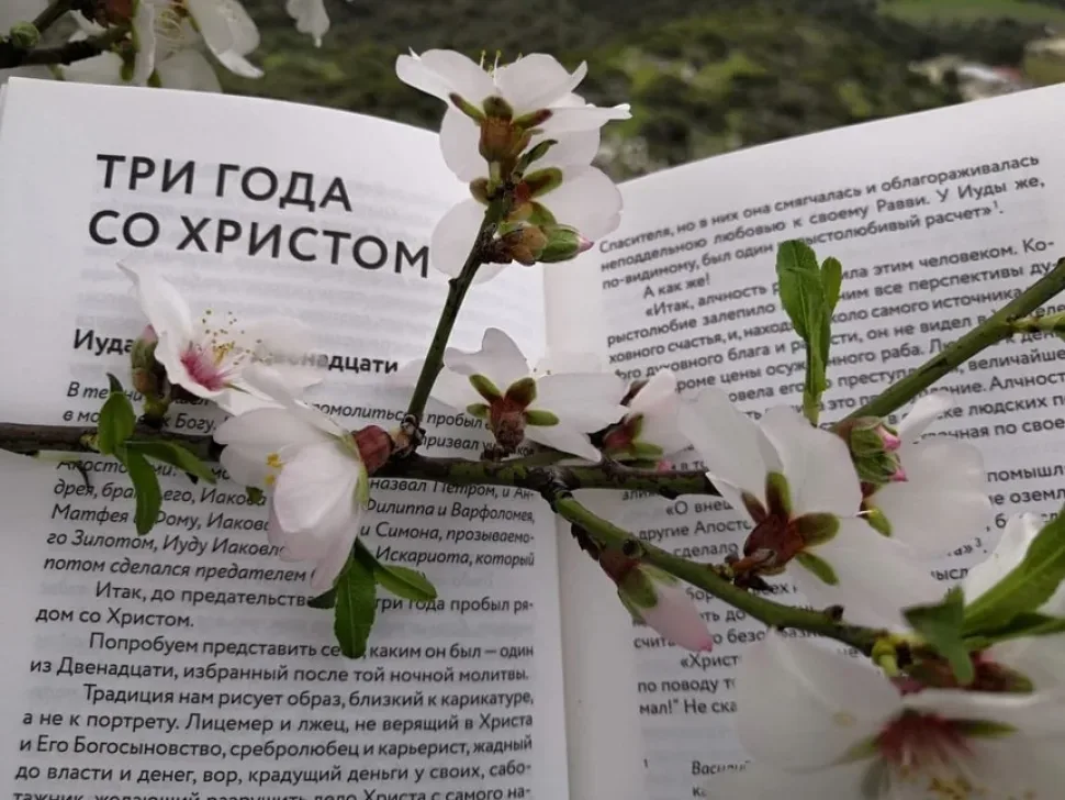Разворот книги с заголовком «Три года со Христом» и веткой цветущей сакуры