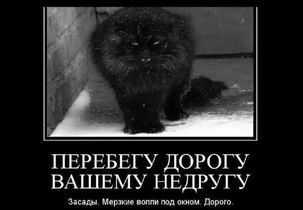 Демотиватор с чёрным пушистым котом и надписью о предупреждении недруга