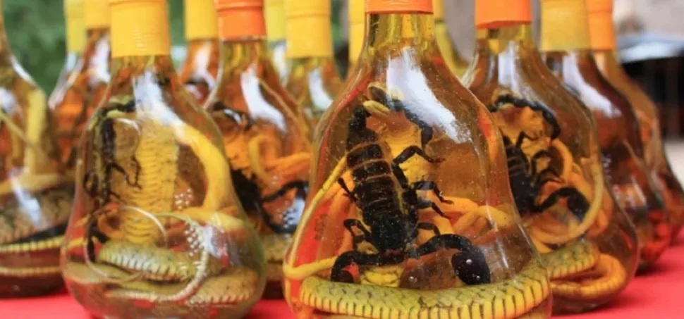 Бутылки с настойками, внутри скорпионы, змеи и насекомые